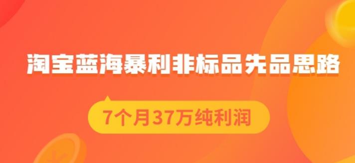 盗坤淘宝蓝海暴利非标品先品思路，7个月37万纯利润，压箱干货分享！【付费文章】