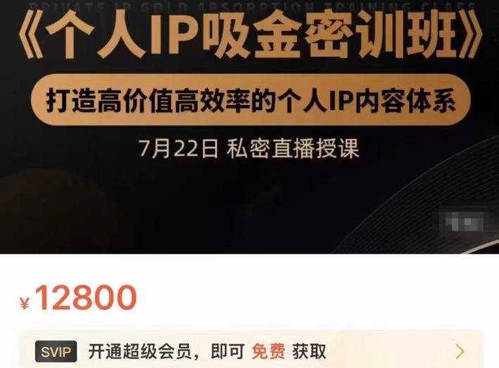 个人IP吸金密训班，打造高价值高效率的个人IP内容体系（价值12800元）