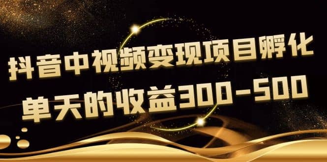 黄岛主《抖音中视频变现项目孵化》单天的收益300-500 操作简单粗暴插图