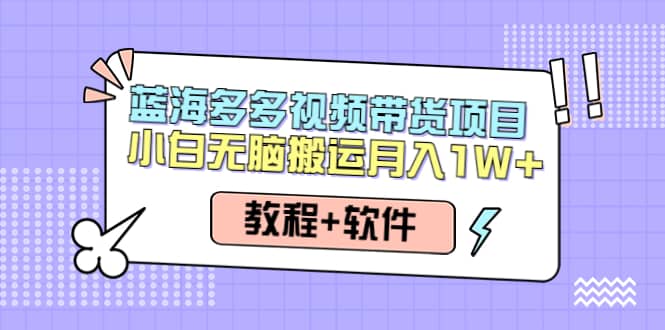 人人都能操作的蓝海多多视频带货项目 小白无脑搬运（教程 软件）