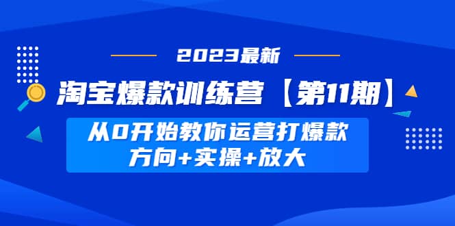 淘宝爆款训练营【第11期】 从0开始教你运营打爆款，方向 实操 放大