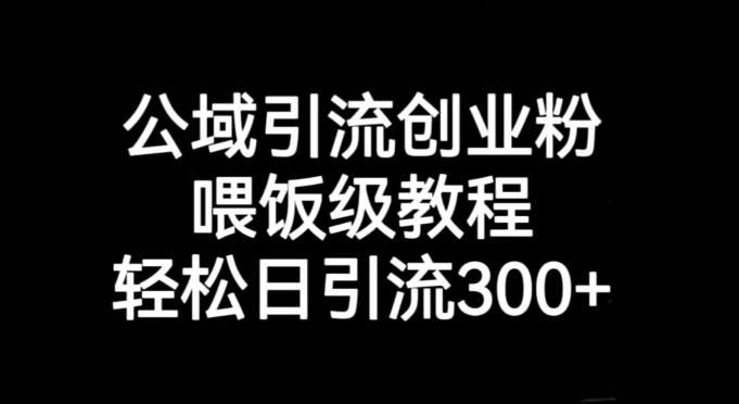 公域引流创业粉，喂饭级教程，轻松日引流300 【揭秘】