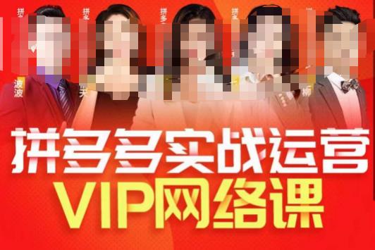 推易拼多多VIP全套直播课程，拼多多店铺实操玩法 实战玩法选款内功 直通车高阶等