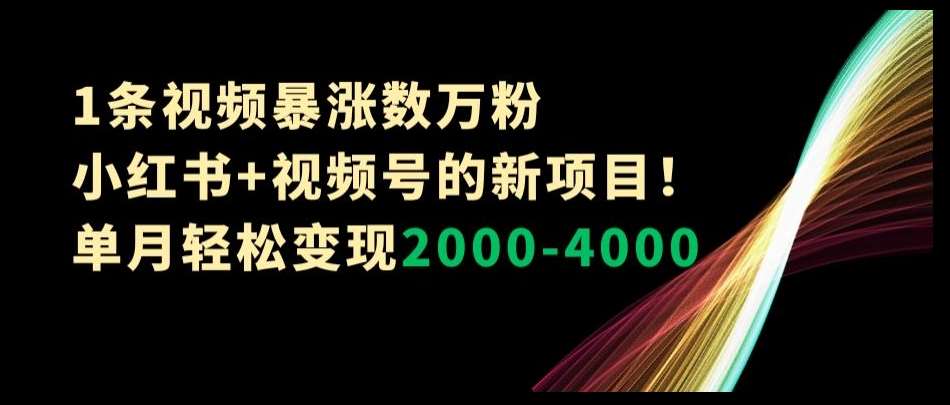 1条视频暴涨数万粉