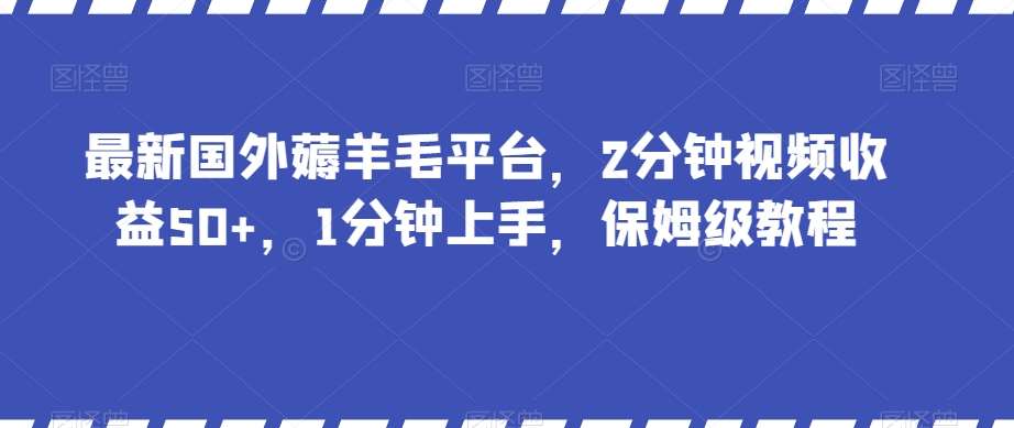 最新国外薅羊毛平台，2分钟视频收益50 ，1分钟上手，保姆级教程【揭秘】