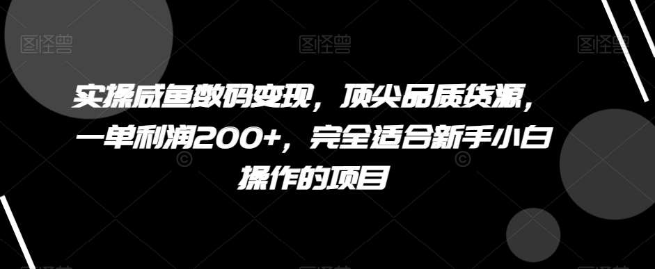 实操咸鱼数码变现，顶尖品质货源，一单利润200 ，完全适合新手小白操作的项目【揭秘】