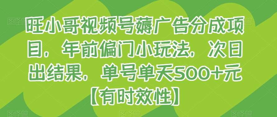 旺小哥视频号薅广告分成项目，年前偏门小玩法，次日出结果，单号单天500 元【有时效性】