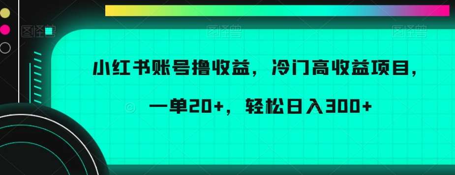 小红书账号撸收益，冷门高收益项目，一单20 ，轻松日入300 【揭秘】