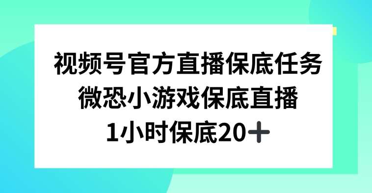 视频号直播任务，微恐小游戏，1小时20 【揭秘】