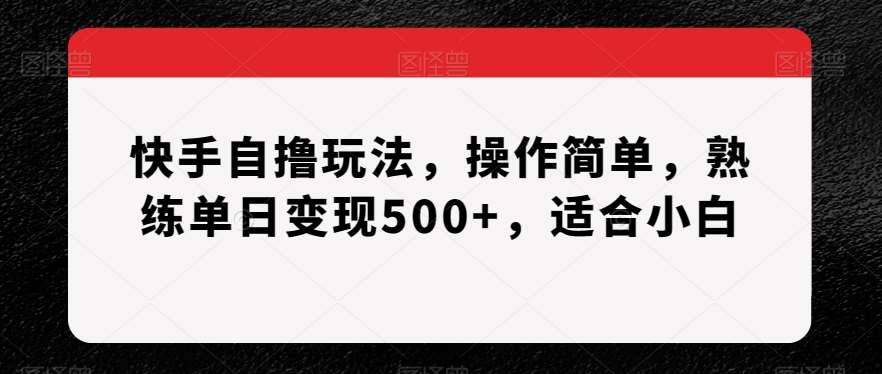 快手自撸玩法，操作简单，熟练单日变现500 ，适合小白【揭秘】