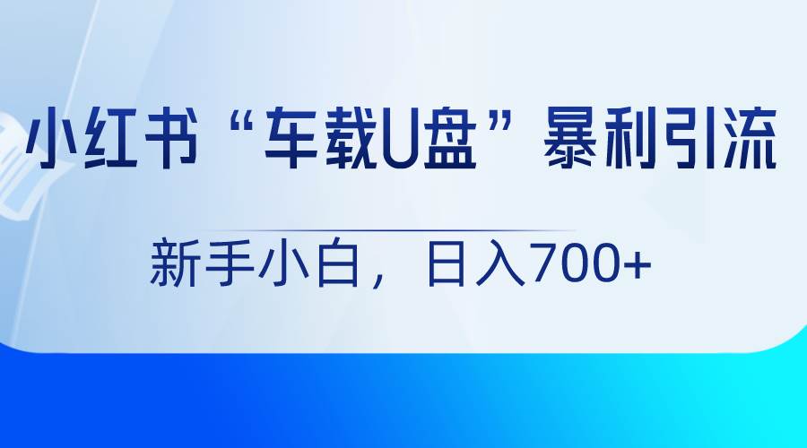 小红书“车载U盘”项目，暴利引流，新手小白轻松日入700