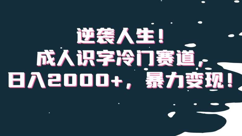 逆袭人生！成人识字冷门赛道，日入2000 ，暴力变现！【揭秘】