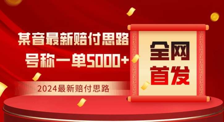 全网首发，2024最新抖音赔付项目，号称一单5000+保姆级拆解【仅揭秘】