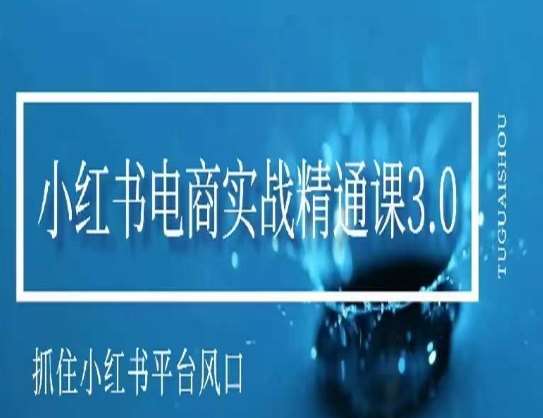 小红书电商实战精通课3.0，抓住小红书平台的风口，不错过有一个赚钱的机会