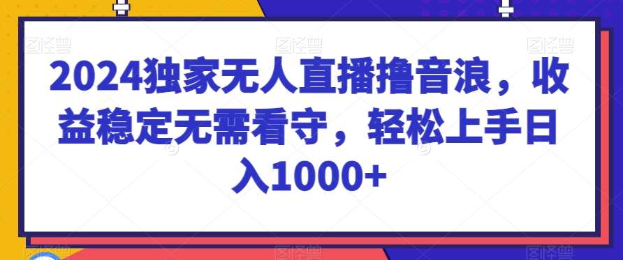 2024独家无人直播撸音浪，收益稳定无需看守，轻松上手日入1000+【揭秘】