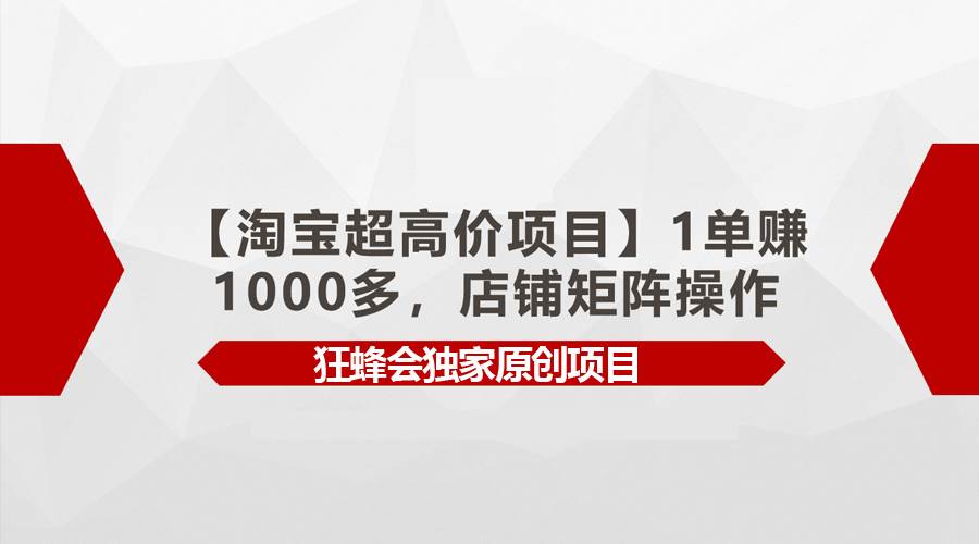 （9849期）【淘宝超高价项目】1单赚1000多，店铺矩阵操作