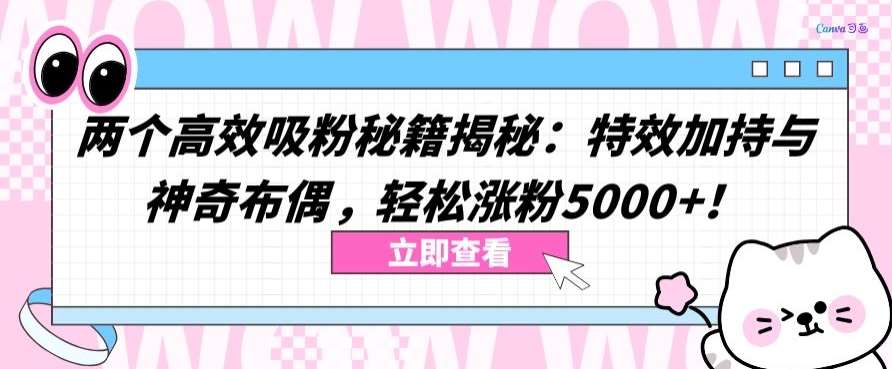 两个高效吸粉秘籍揭秘：特效加持与神奇布偶，轻松涨粉5000+【揭秘】