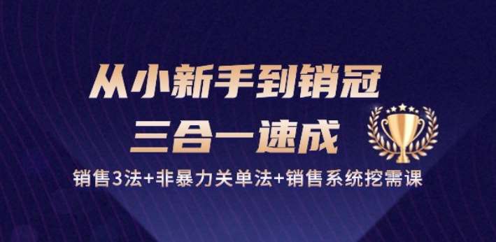 从小新手到销冠 三合一速成：销售3法+非暴力关单法+销售系统挖需课 (27节)