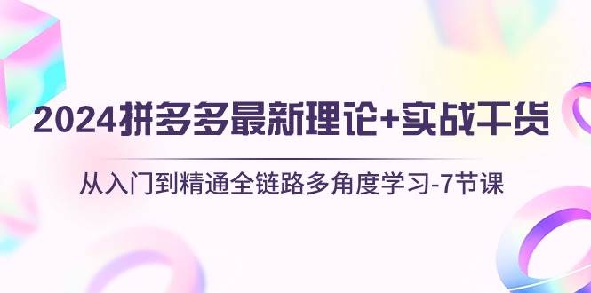 （10816期）2024拼多多 最新理论+实战干货，从入门到精通全链路多角度学习-7节课