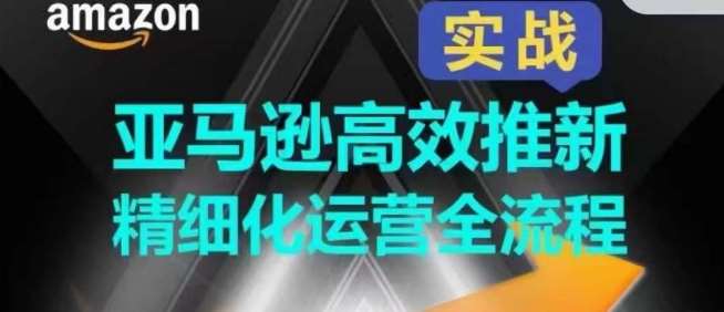 亚马逊高效推新精细化运营全流程，全方位、快速拉升产品排名和销量!