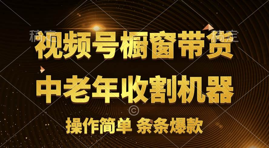 （11009期）[你的孩子成功取得高位]视频号最火爆赛道，橱窗带货，流量分成计划，条…