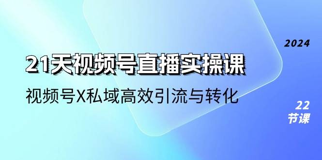 21天视频号直播实操课，视频号X私域高效引流与转化（22节课）