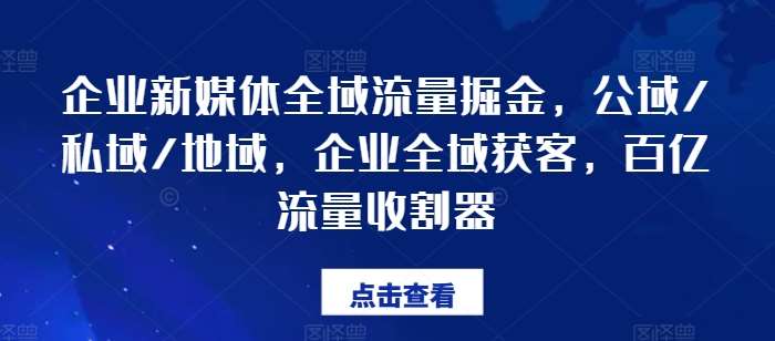 企业新媒体全域流量掘金，公域/私域/地域，企业全域获客，百亿流量收割器插图