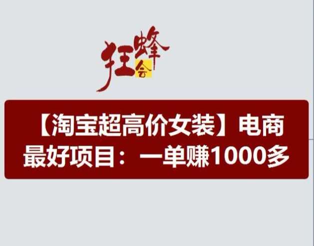 淘宝超高价女装项目，电商最好赛道，一单赚1000多插图