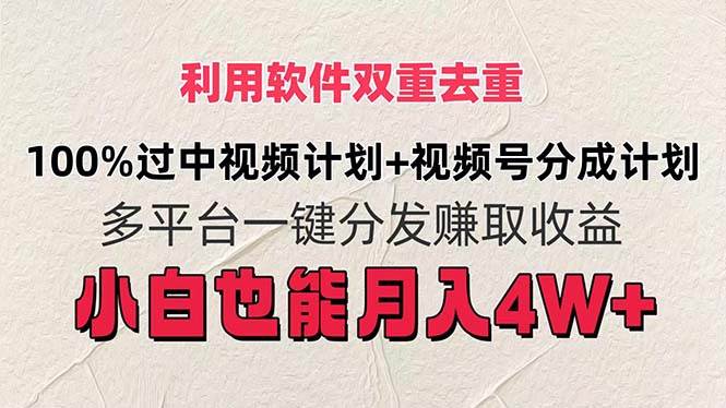 （11862期）利用软件双重去重，100%过中视频+视频号分成计划小白也可以月入4W+