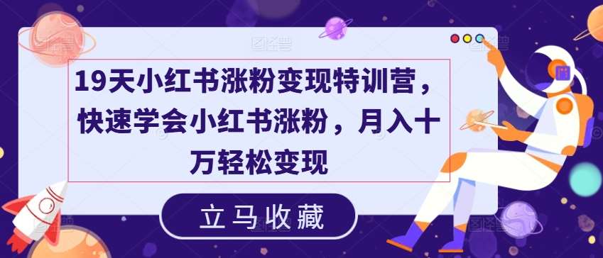 19天小红书涨粉变现特训营，快速学会小红书涨粉，月入十万轻松变现插图