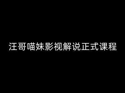 汪哥影视解说正式课程：剪映/PR教学/视解说剪辑5大黄金法则/全流程剪辑7把利器等等