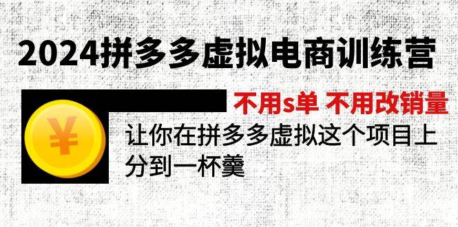 （12024期）2024拼多多虚拟电商训练营 不s单 不改销量  做虚拟项目分一杯羹(更新10节)插图