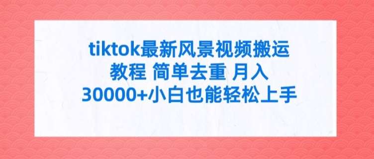 tiktok最新风景视频搬运教程 简单去重 月入3W+小白也能轻松上手【揭秘】插图