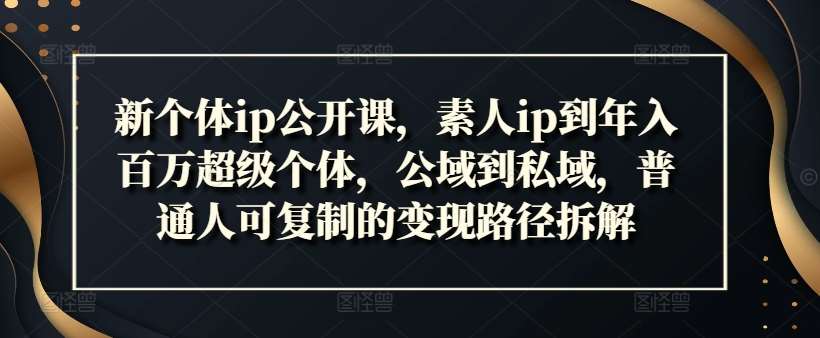 新个体ip公开课，素人ip到年入百万超级个体，公域到私域，普通人可复制的变现路径拆解插图