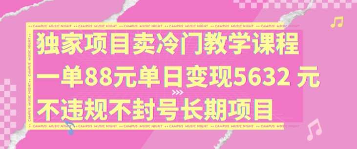 独家项目卖冷门教学课程一单88元单日变现5632元违规不封号长期项目【揭秘】插图