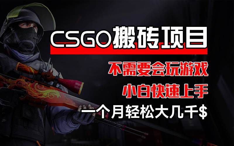 （12332期）CSGO 装备搬砖项目，操作简单，不需要会玩游戏，小白也能快速上手，一…