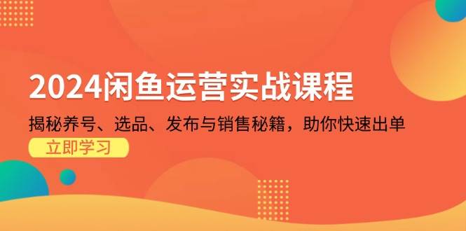 （13290期）2024闲鱼运营实战课程：揭秘养号、选品、发布与销售秘籍，助你快速出单