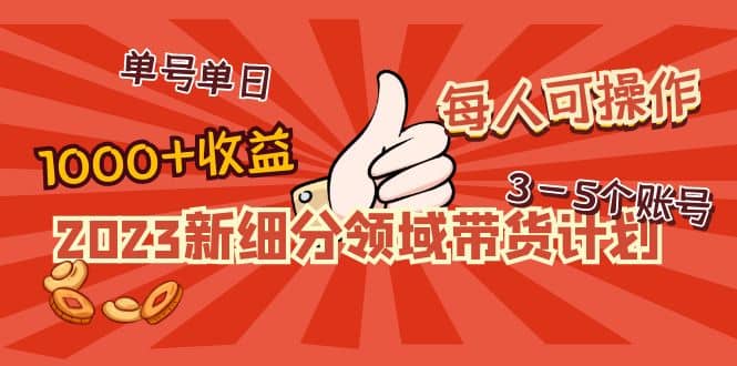 2023新细分领域带货计划：单号单日1000+收益不难，每人可操作3-5个账号插图