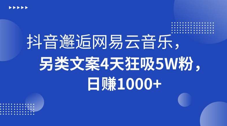 抖音邂逅网易云音乐，另类文案4天狂吸5W粉，日赚1000+【揭秘】