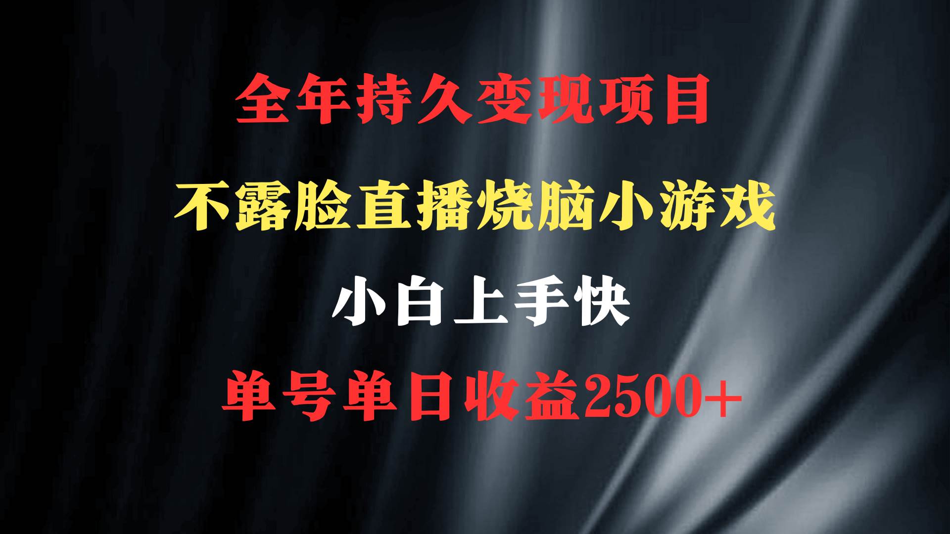 2024年 最优项目，烧脑小游戏不露脸直播  小白上手快 无门槛 一天收益2500+插图1