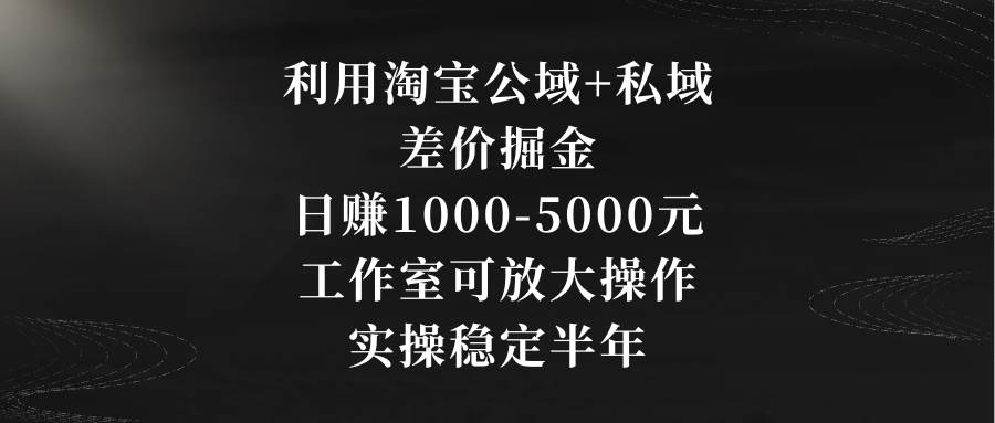 利用淘宝公域+私域差价掘金，日赚1000-5000元，工作室可放大操作，实操…