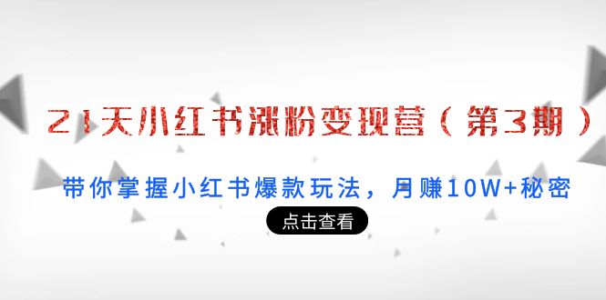 21天小红书涨粉变现营：带你掌握小红书爆款玩法，月赚10W 秘密