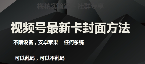 最新视频号直播卖惨乞讨玩法，流量嘎嘎滴，轻松日入300